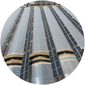 solargik